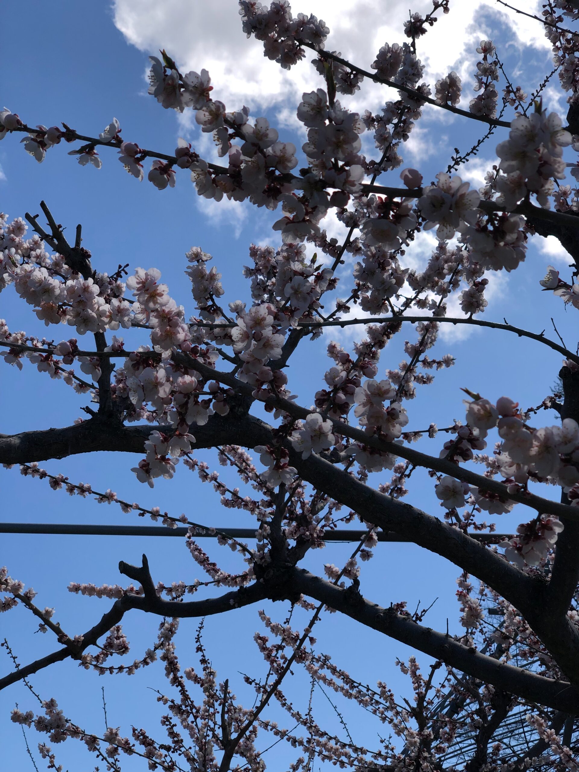 写真４