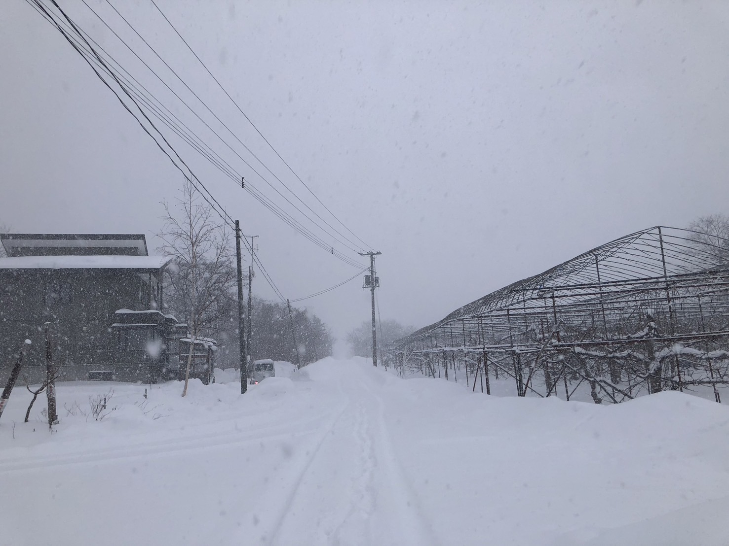 写真８